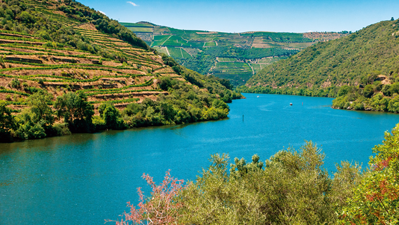 葡萄牙上杜羅河釀酒區是有機演變的文化景觀，反映了人類釀酒技術、社會及經濟的長期演化。